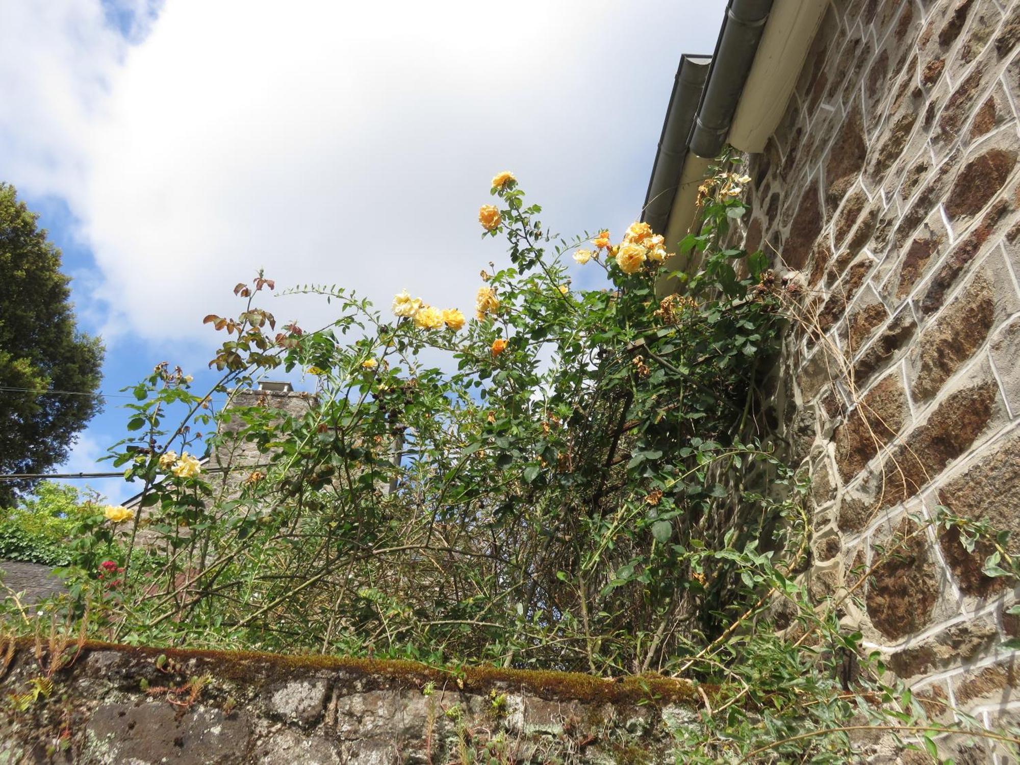 Bed and Breakfast Le Jardin à Mordreuc Pleudihen-sur-Rance Exterior foto
